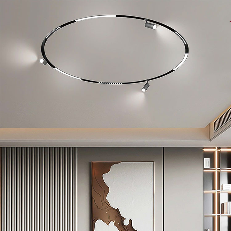 Track Lights hakkında ne kadar biliyorsunuz?